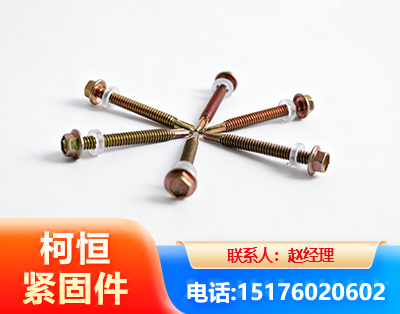 伊春六角钻尾丝